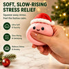 Christmas Squishy Advent Calendar